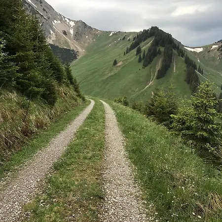 Alpenrose