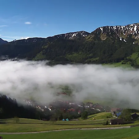 Alpenrose Zöblen