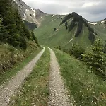 Alpenrose